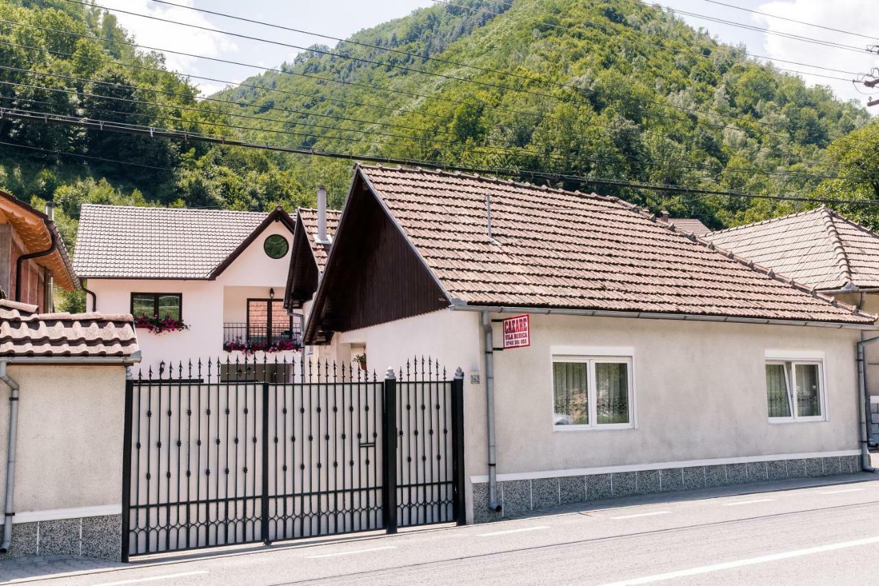 Vila Rodica Transalpina Şugag المظهر الخارجي الصورة
