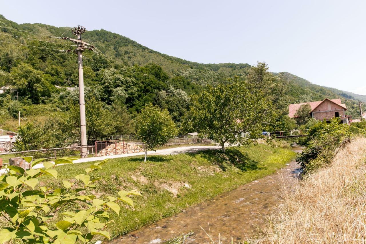 Vila Rodica Transalpina Şugag المظهر الخارجي الصورة